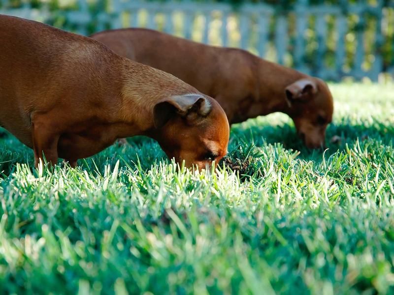 sudoku consecutive sudoku screenshot 6